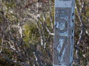 Wooden marker painted white on the top with the number