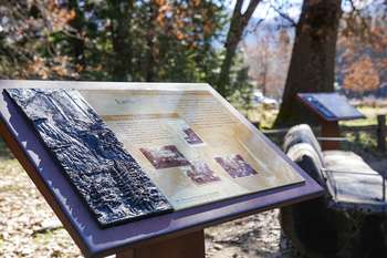 A wayside exhibit with a bronze tactile relief section stands near a log that is strategically cut into a bench.