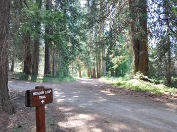 A wooden sign at the intersection of a trail and road reads, 