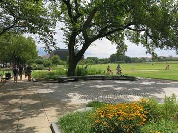 A small flower garden adorns a small plaza beside a tree-lined sidewalk.