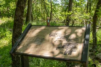 Wayside surrounded by trees and a trail marker.