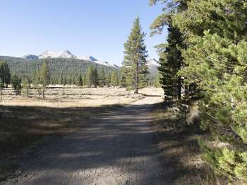 A dirt road that doubles as a walking trail leads around the outskirts of a meadow.