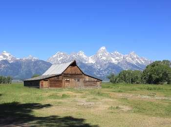 Classic view of TA Moulton barn with a stand of cottonwood trees to the right and the Teton Range in the background.