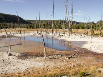 Deep milky blue steaming pool surrounded by shallow water on orange bacterial mats
