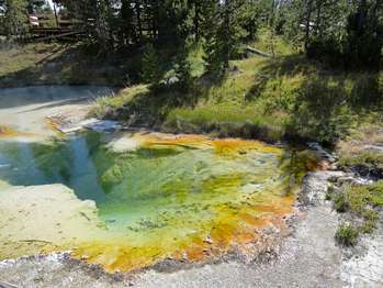 A small hot spring with prismatic colors of green through orange.
