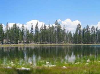 Trees surround a lake and reflect in its waters.