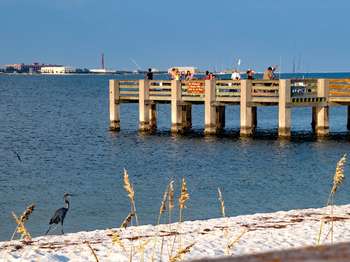 Wooden pier full of people fishing stretches over blue water. A Great Blue Heron walks on white sand in the foreground. Blue sky in the background.
