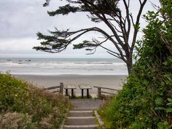 A trailhead with a glimpse of beach beyond.