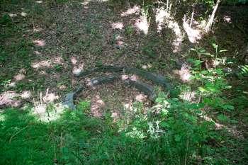 Shot of where old turbines used to be located. It is hard to make out due to how much grass and dirt have covered it, but the area is visible and in the middle of a forest-like area with several trees.