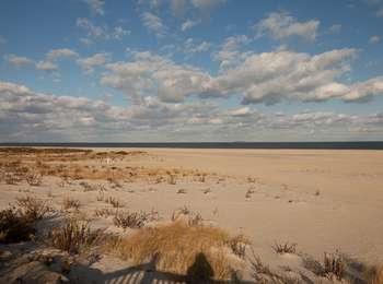 Sandy Hook - Beach B