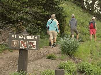 Several people start hiking up the bare ground path leading up a forested mountainside.