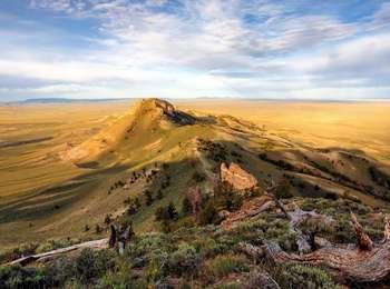 A long, narrow grass, sagebrush, and scattered tree covered ridgeline extends into a vast sagebrush and dried grass plain