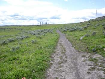 A bare ground trail leads across a flat stretch of grassy sagebrush-steppe.