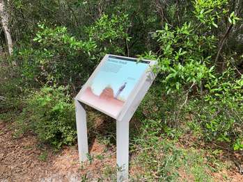 An interpretive panel describes the remains of the trench that lie behind the vegetation.