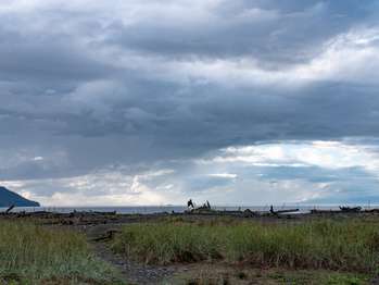 A surfer carries a surfboard toward the beach under dramatic, cloudy skies.