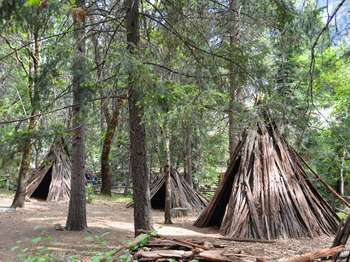Three conical wooden structures made from strips of bark are situated near each other. Trees surround the area.