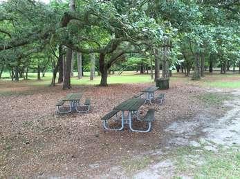 Picnic area with three tables under tree