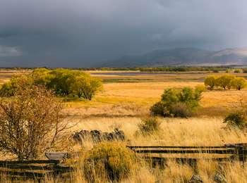 An open marsh with dried, brown grass and trees in their fall colors set against a background of rolling hills