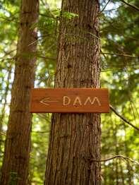 A small wooden sign on a tree reads "DAM" with an arrow.