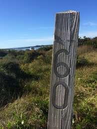 Wooden post with