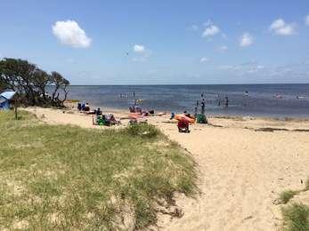 Dozens of visitors are playing in the waters of the Pamlico Sound or relaxing on a stretch of sandy beach.