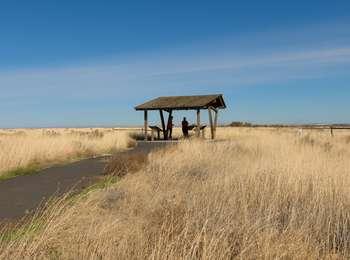 Tall grass meadow surrounding a Gazebo that contains interpretation waysides