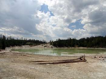 A green-tinted lake surrounded by a tan area of no plant growth.