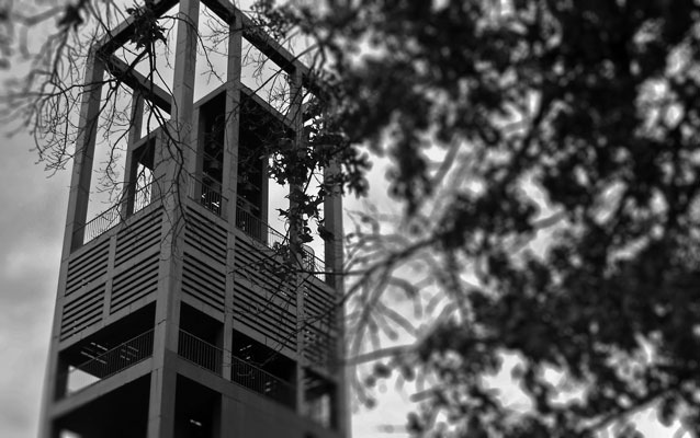 B&W photo; steel tower on left and tree on right B&W photo; steel tower on left and tree on right