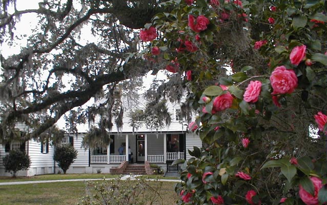 a white house in background with pink roses in front framing picture