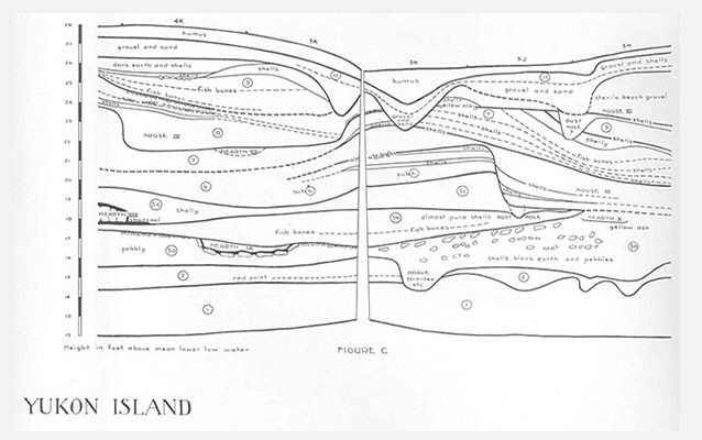 Stratigraphic drawing of archeological excavations at Yukon Island by Frederica de Laguna Stratigraphic drawing of archeological excavations at Yukon Island by Frederica de Laguna