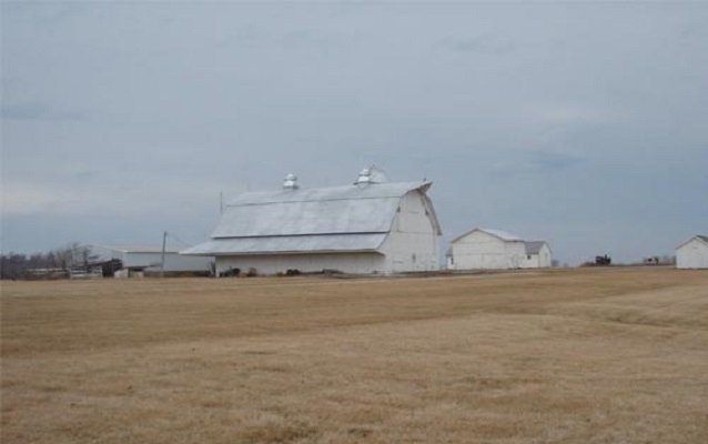 View across a field of a group of white farm buildings and a barn.