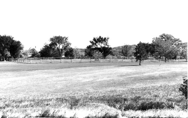 View across a grassy area with trees and fence in the background.