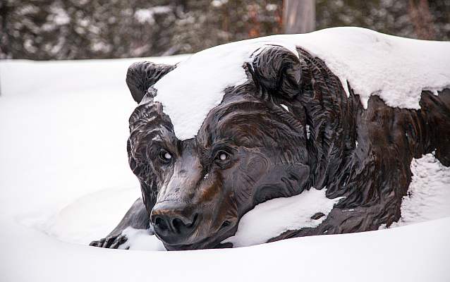 a bronze statue of a bear lying on its belly is blanketed in snow a bronze statue of a bear lying on its belly is blanketed in snow