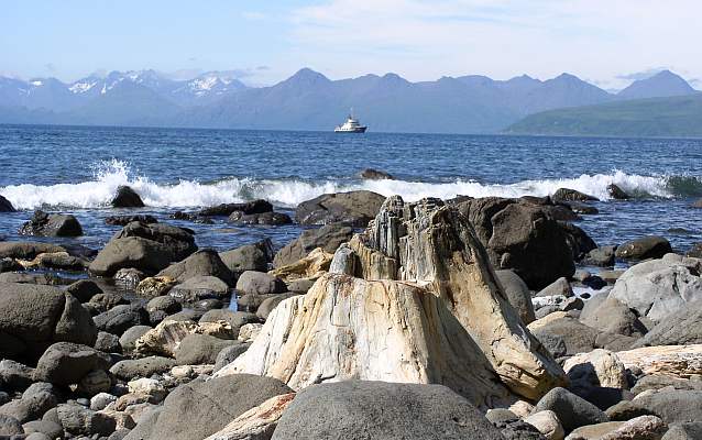 a petrified log stump on a rocky beach with mountains and a boat in the distance