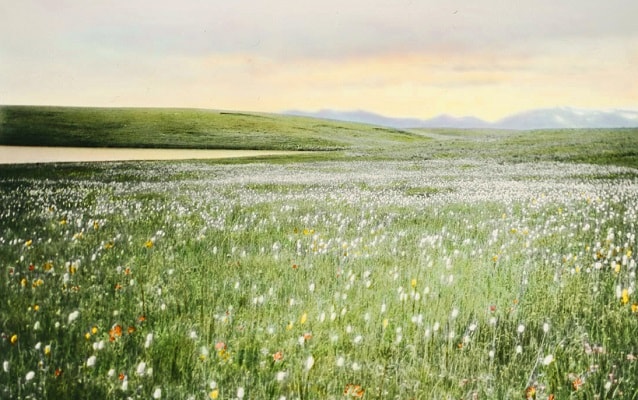 weippe prairie weippe prairie
