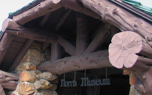 Roof-line showing rough-hewn logs and stonework.