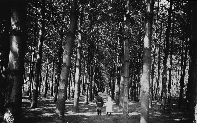 two small children standing in a schulwald