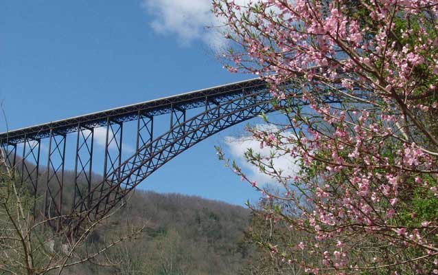 a large arched bridge over valley with flowering tree on right