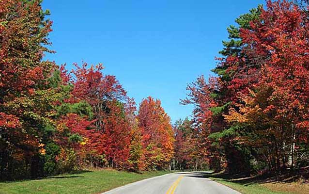 parkway road in fall