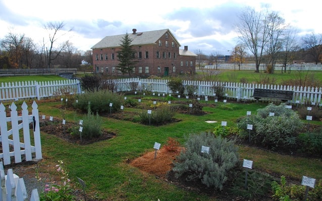 herb garden in watervliet with brick building in background