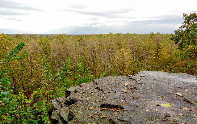 View from the bluff overlooking a forested area. View from the bluff overlooking a forested area.