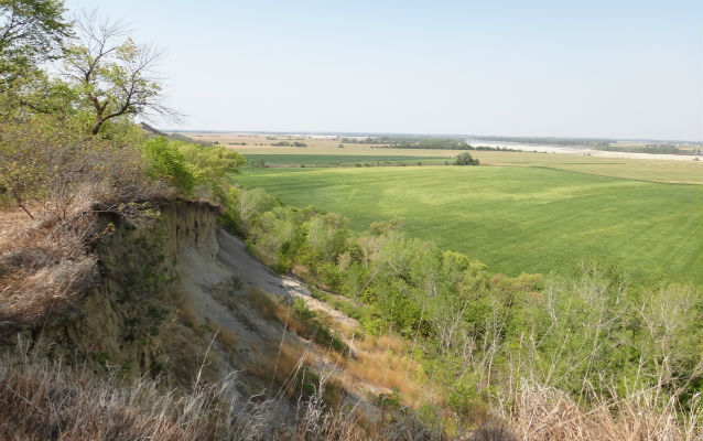 Top of a grassy bluff overlooking grasses Top of a grassy bluff overlooking grasses