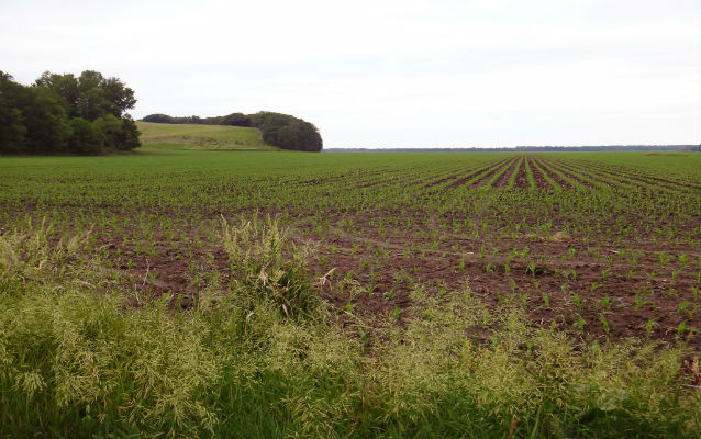 Farm field with hill in the background