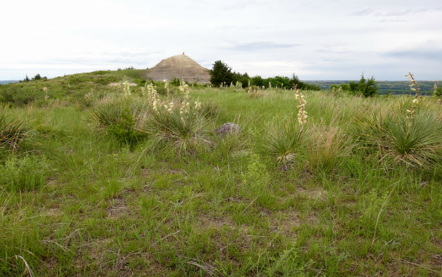 Sand tower behind grasslands Sand tower behind grasslands