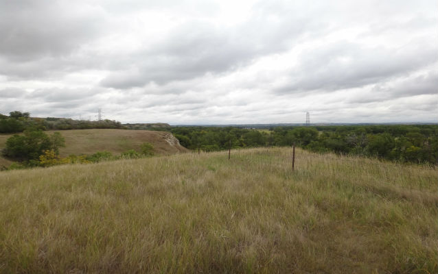 Grassy field with cloudy sky