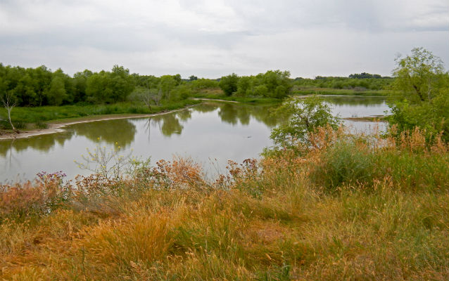 River with trees in background