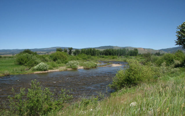 River with green trees and blue sky River with green trees and blue sky