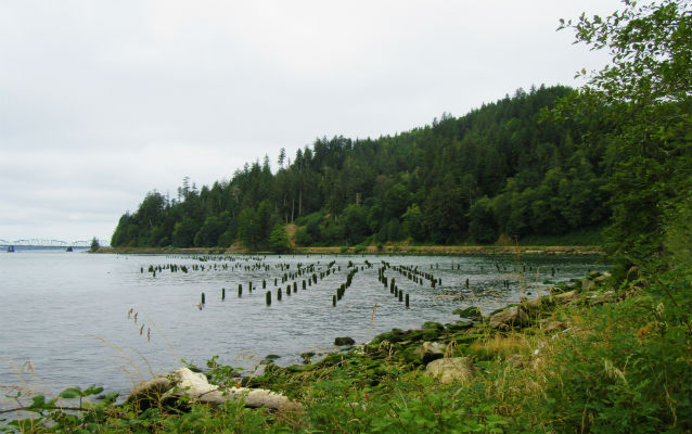 Water with planks in it Water with planks in it