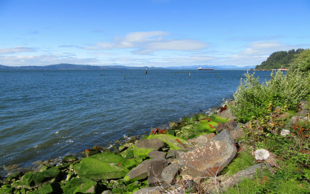 Green rocks overlooking the coast