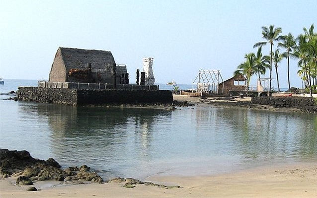 Beach with buildings and palm trees in background. 